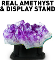 Load image into Gallery viewer, National Geographic’s Purple Crystal Growing Kit