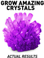 Load image into Gallery viewer, National Geographic’s Purple Crystal Growing Kit