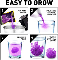 Load image into Gallery viewer, National Geographic’s Purple Crystal Growing Kit
