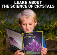 National Geographic’s Purple Crystal Growing Kit