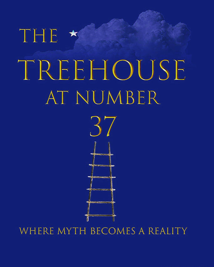 The Treehouse at 37 Paperback Book